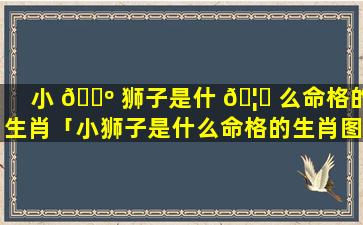 小 🌺 狮子是什 🦍 么命格的生肖「小狮子是什么命格的生肖图片」